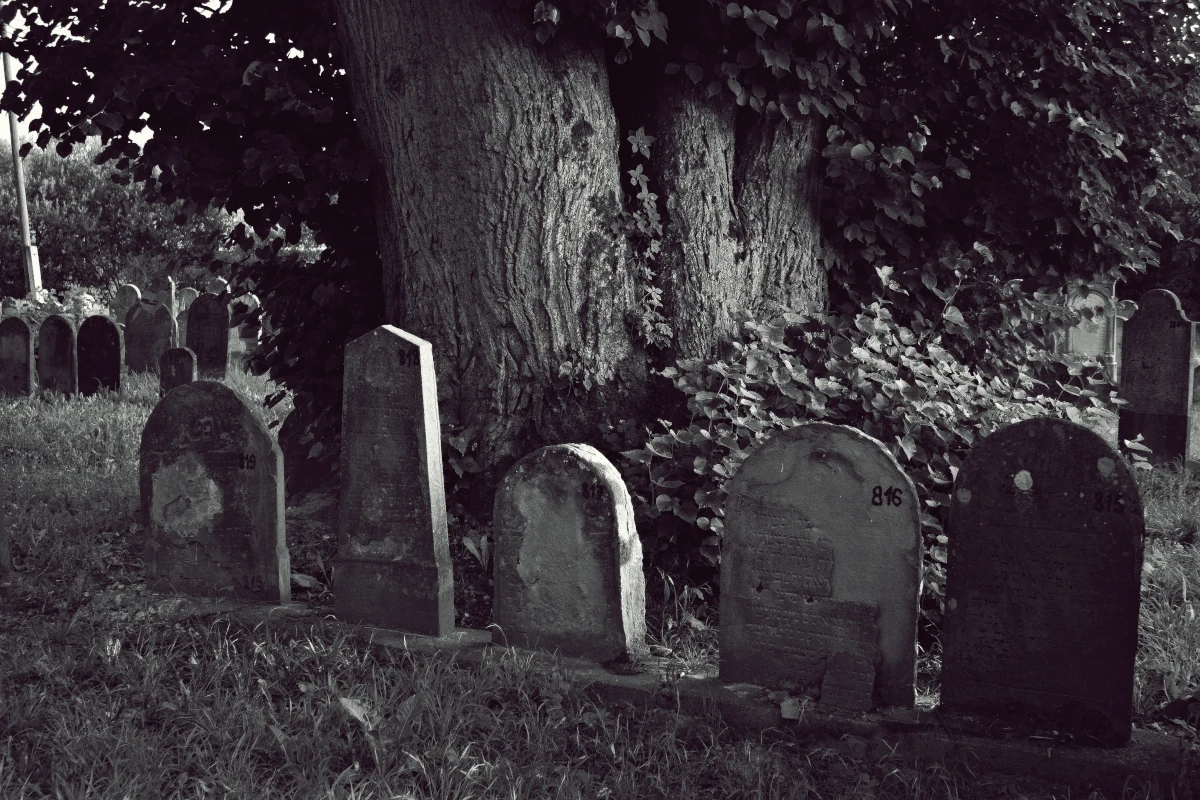 Here's a black-and-white graveyard, because it's time to talk about Dark Shadows again
