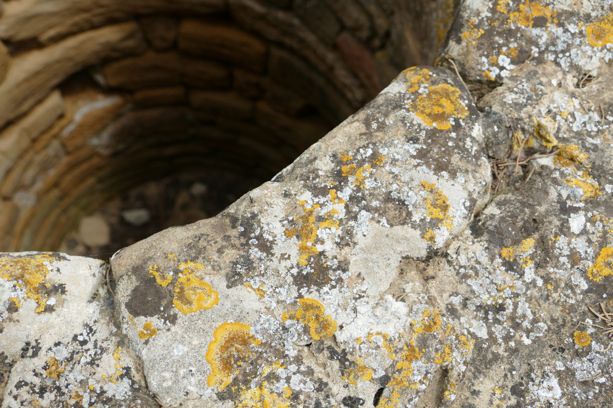 Well in the Punic necropolis of Utica, by Kritzolina